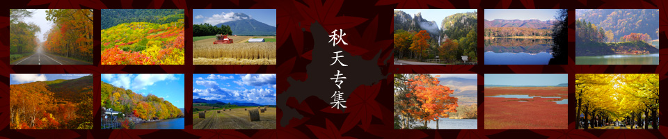 秋天专集