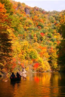 ���ô�Ī�ľ��