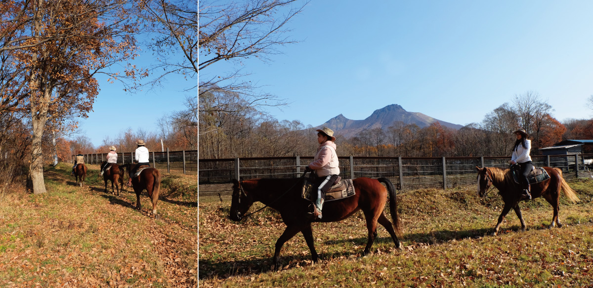 Sonny's Stable horse trekking