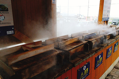 Hot Spring Steaming Corner