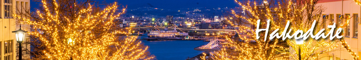 Hakodate city