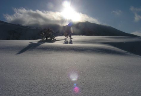 大雪山国立公園