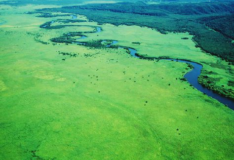 釧路湿原国立公園