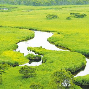 釧路湿原国立公園
