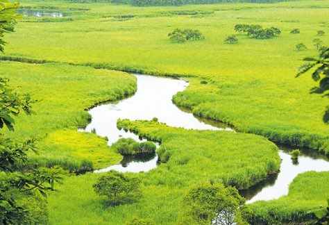 釧路湿原国立公園