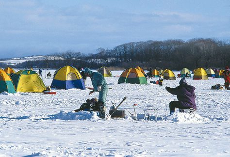 釧路湿原国立公園