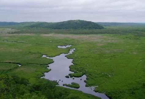釧路湿原国立公園