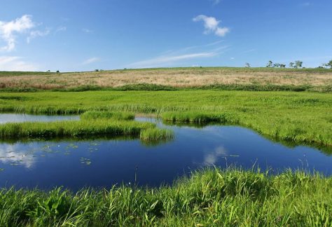 雨竜沼湿原