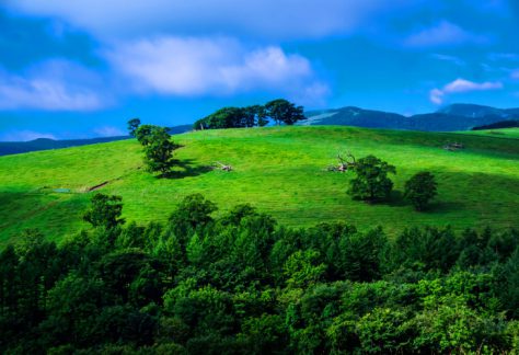 Naitai Plateau Ranch