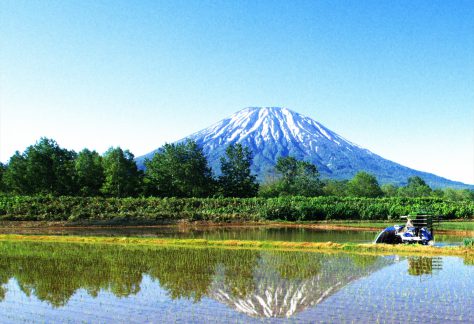 倶知安　蝦夷富士