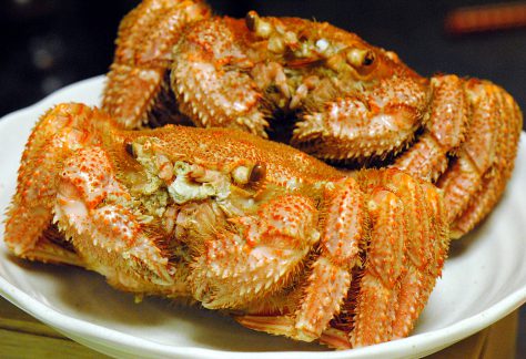 春が旬の毛ガニ