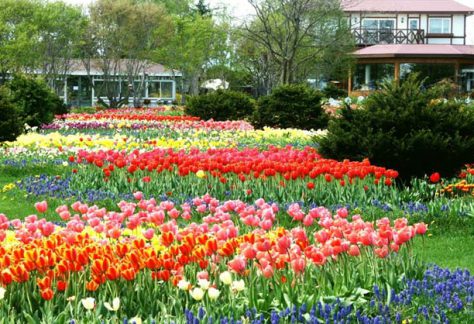 Hokkaido Garden Highway