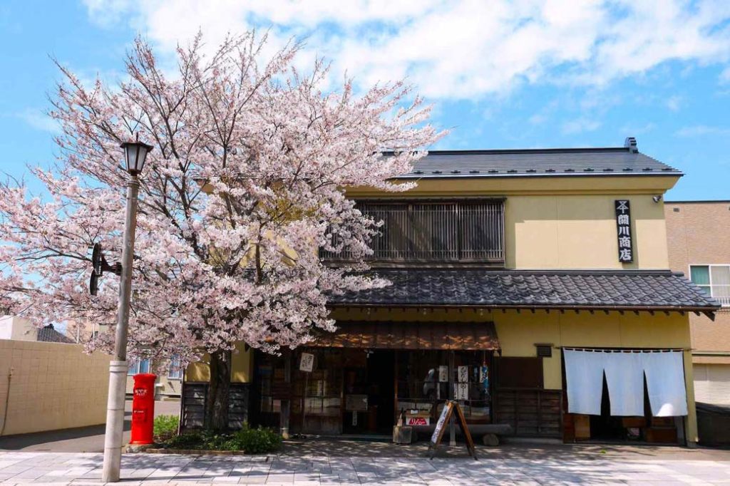 Inishie Kaido Street：Restoring the cityscape which prospered with herring fishing and the goods-carrying merchant ships and the business and hinoki materials trade until early period of Meiji. You can gaze at the unique cityscape brimming with emotion.